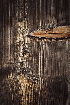 Abstract background or texture aged wooden board