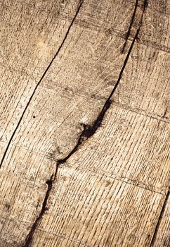 abstract background or texture detail of an old oak plank retro