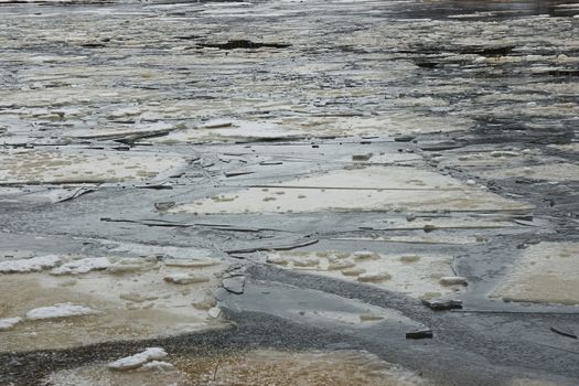 Ice floes how shards of broken mirror
