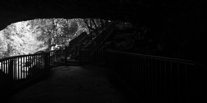 Natural Bridge Waterfall in Springbrook on the Gold Coast hinterlands, Queensland. Black and White image