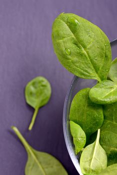 view of fresh spinach leaves 