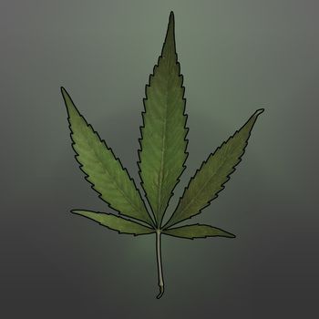 A square format image of a mature marijuana leaf set on a gradient background.