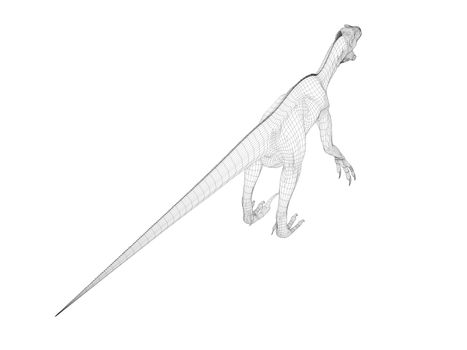 3d dinosaur wireframe (lines) isolated on a white back ground