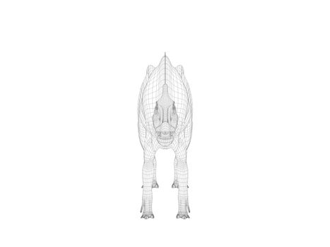 3d dinosaur wireframe (lines) isolated on a white back ground