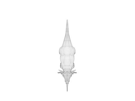 3d dinosaur wireframe (lines) isolated on a white back ground