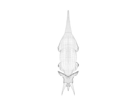 3d dinosaur wireframe (lines) isolated on a white back ground