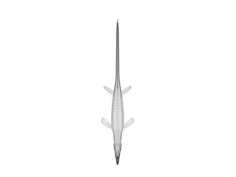 3d dinosaur wireframe (lines) isolated on a white back ground