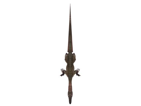 3d render depicting a dinosaur, which lived during the Cretaceous period, isolated on white.