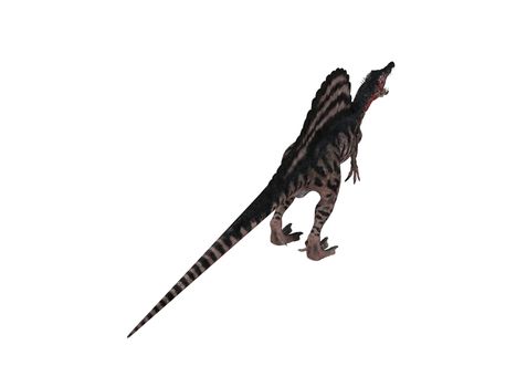 3d render depicting a dinosaur, which lived during the Cretaceous period, isolated on white.