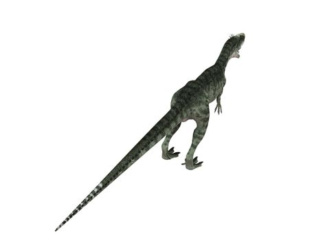 3d render depicting a dinosaur, which lived during the Cretaceous period, isolated on white.