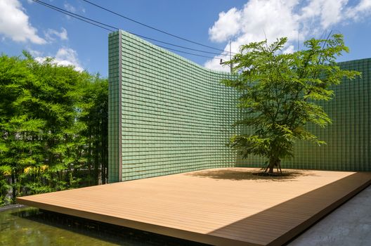 Chinese Modern Patio with Tree