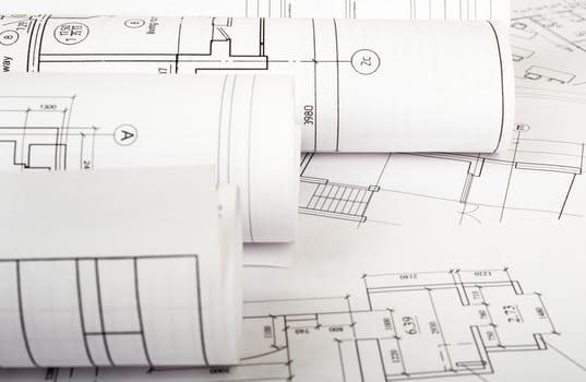 Architecture plan and rolls of blueprints closeup. Building concept