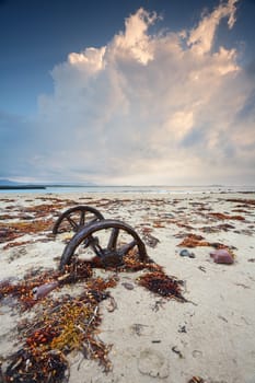 Rusty wheels in the sand surrounded by colourful weed washed up in  a recent big swell. The wheels are left from a train line that existed to haul cut rock from Windang Island to the mainland to build the breakwaters.
