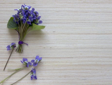 Bouquet of violets on the wooden background