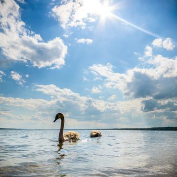 blue sky, natural clouds, nature series