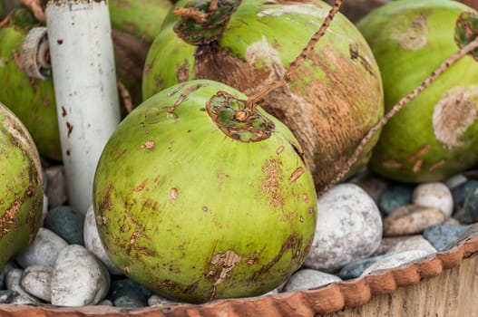 A shot of coconut fruits.