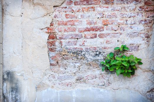 urban brick wall texture grunge background