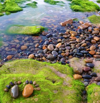 Couple of foot by pebble on green seaweed background, amazing concept of feet on alga surface, art product at seaside