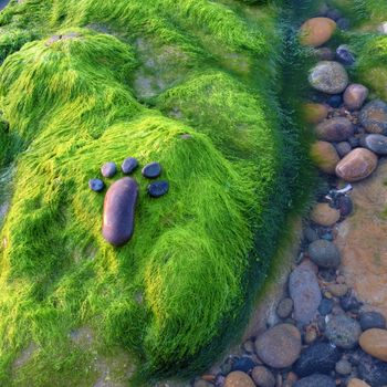 Lonely foot by pebble on green seaweed background, amazing concept on alga surface, art product at seaside