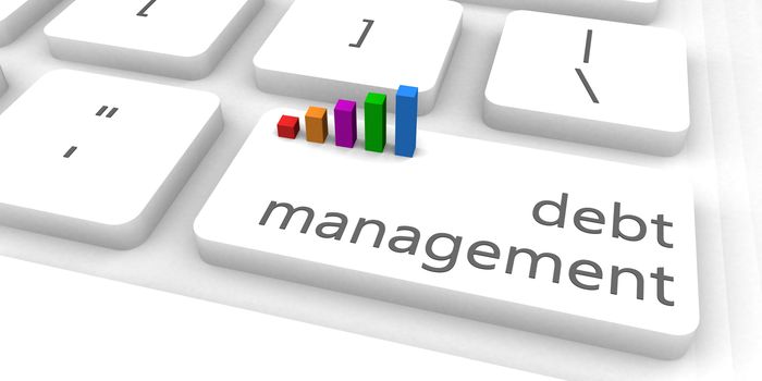Debt Management as a Fast and Easy Website Concept
