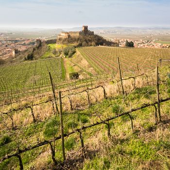 View of Soave (Italy) surrounded by vineyards that produce one of the most appreciated Italian white wines, and its famous medieval castle.