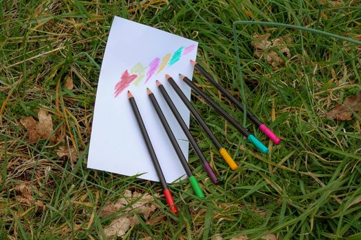 Watercolour pencils, of various colours, arranged on grass.