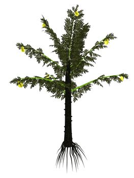 Alethopteris serli prehistoric tree isolated in white background - 3D render