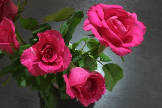 Natural red and pink rose