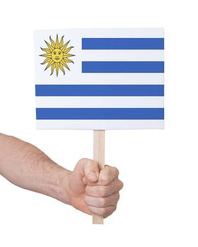Hand holding small card, isolated on white - Flag of Uruguay
