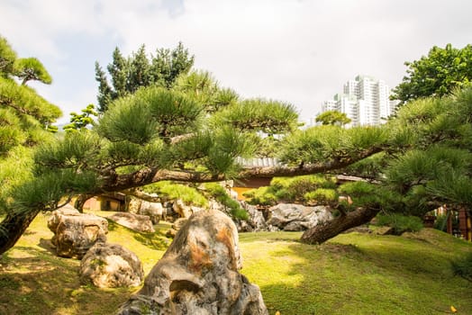 Pavilion of Absolute Perfection in Nan Lian Garden, Hong Kong, Captured