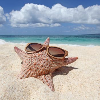 Starfish with sunglasses on sand of tropical beach at Philippines