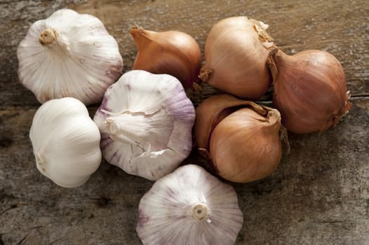 Fresh raw whole garlic bulbs and brown onions, both of the Allium family, on a rustic wooden table viewed from overhead