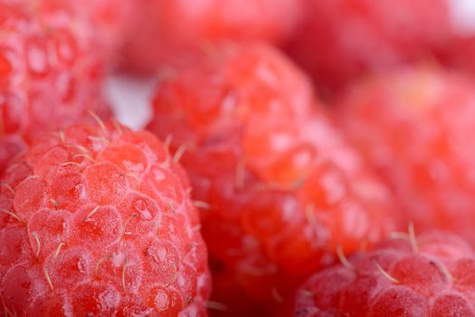 Fresh sweet raspberries close up