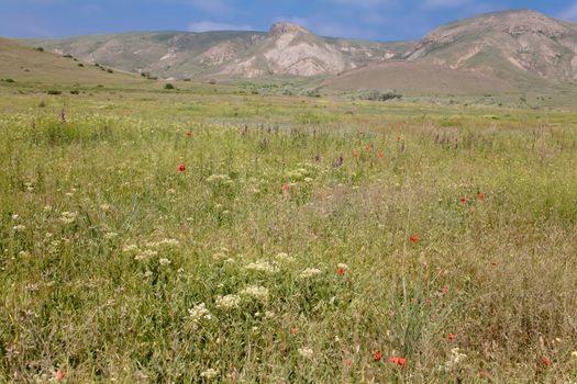 Grey mountains and green meadow in Crimea
