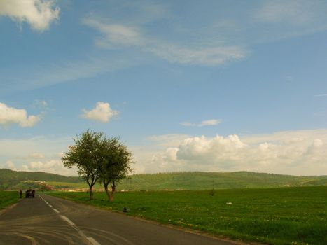 Summer alpine landscape with green fields and beautiful sky, Bran, Transylvania, Romania