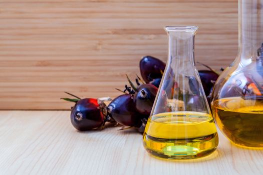 Alternate fuel , bio diesel in laboratory glass and red palm fruits set up on wooden background.