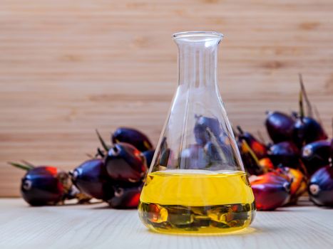 Alternate fuel , bio diesel in laboratory glass and red palm fruits set up on wooden background.