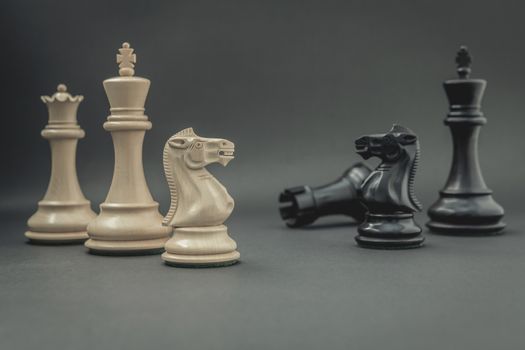 Black and White King and Knight of chess setup on dark background . Leader and teamwork concept for success.