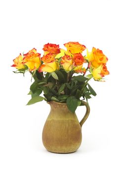 roses in a vase on white background