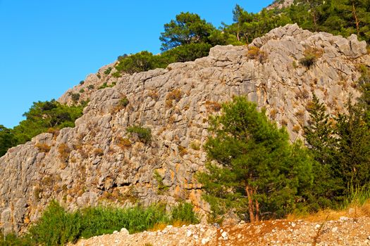  anatolia    from     the hill in asia turkey termessos old architecture and nature 