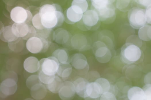 Light blur and bokeh green color background