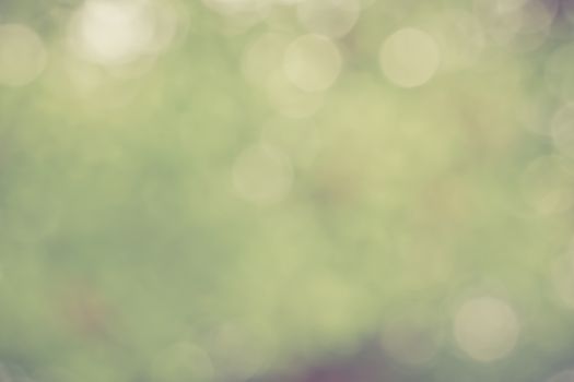 Soft green bokeh light  background