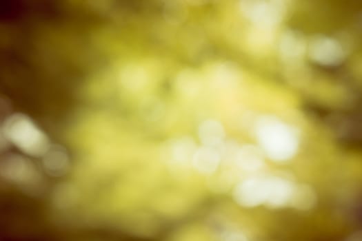 Bokeh gold light  background