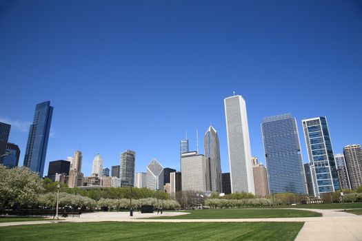 Chicago Skyline and city park