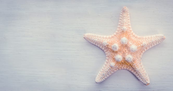 Vacation Detail Of A Starfish On A White Painted Backdrop