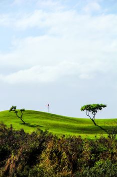 golf course with beautiful cloudy blue sky and green trees