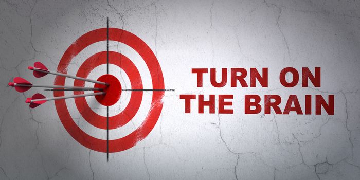 Success Education concept: arrows hitting the center of target, Red Turn On The Brain on wall background