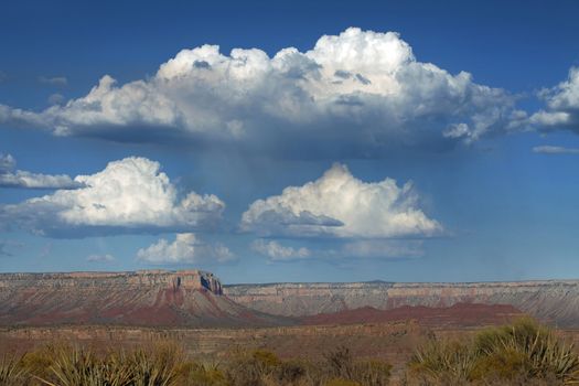 Beautiful Landscape of Grand Canyon