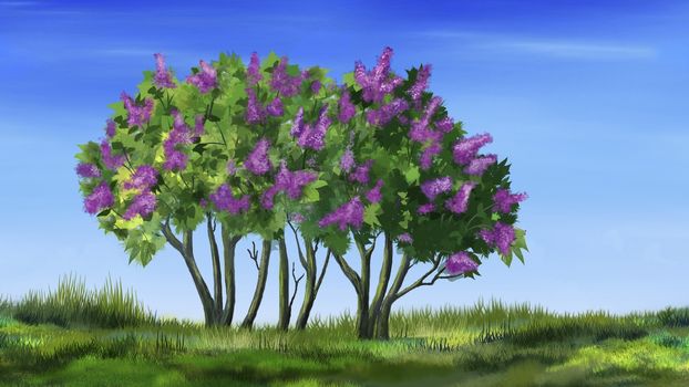 Digital painting of the Lilac Tree or Syringa vulgaris