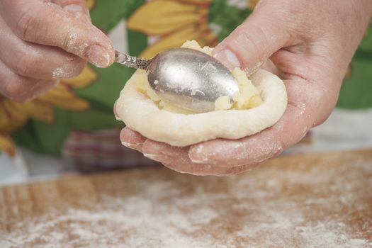 Several small patties with the potato filling